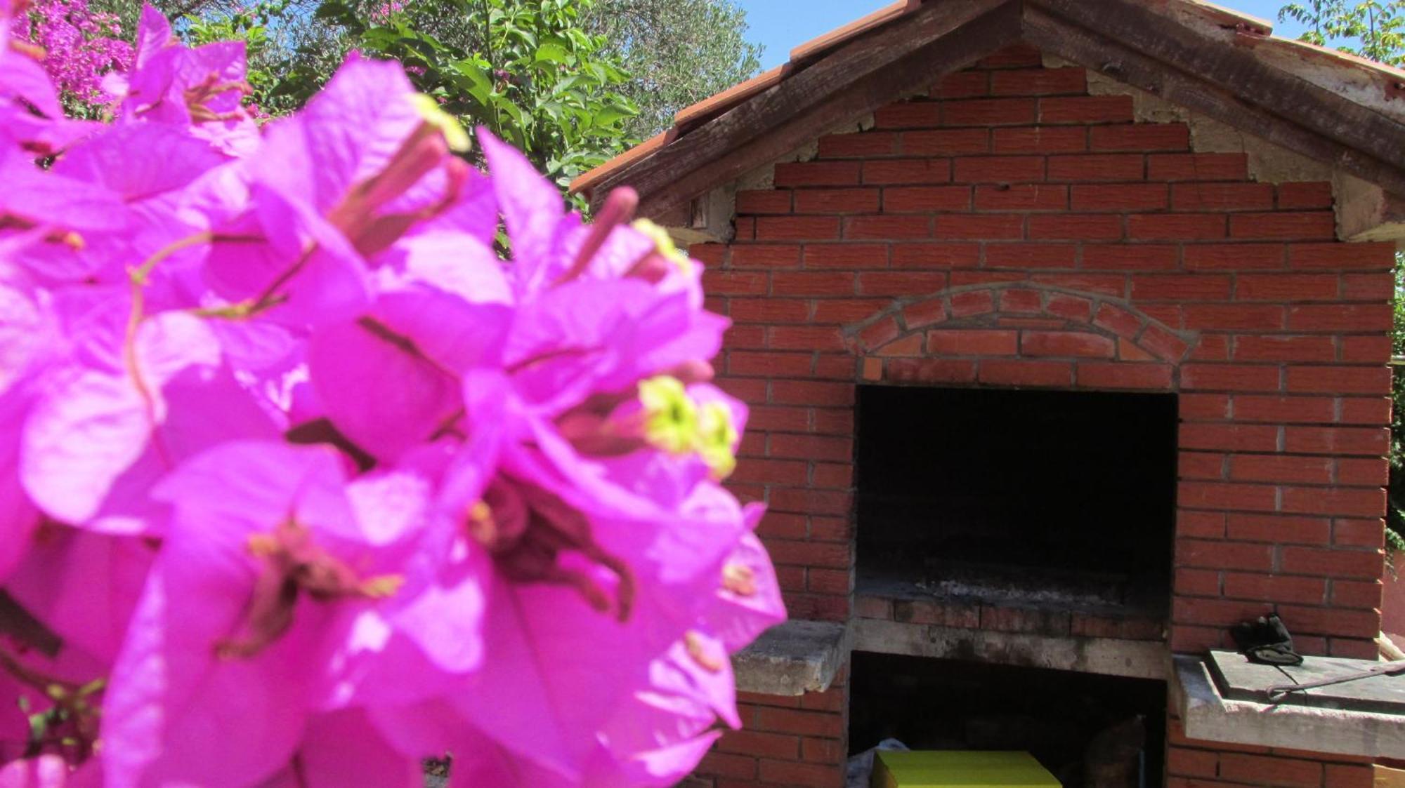 Apartmani Carmen Бибинє Номер фото